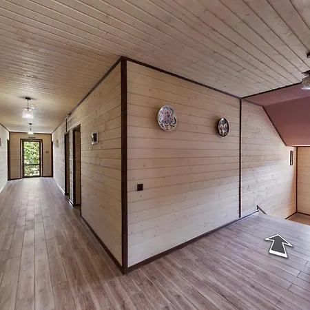 Отель Palsir Солотвино