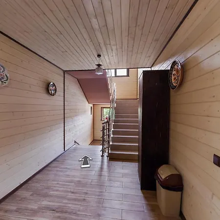 Palsir Солотвино