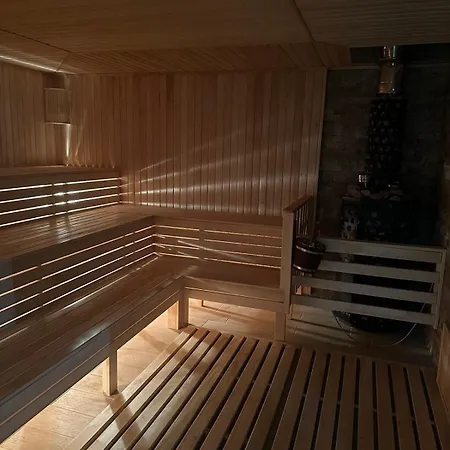 Palsir Солотвино